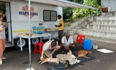Mobile Klinik PAWS - Tierschutz in Mauritius